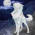 :iconharpyeaglelover:
