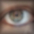 :iconharrieth: