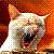 :iconharrowed: