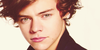:iconharry-styles-fans: