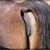 :iconharryasshairs:
