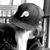 :iconharshmarsh: