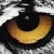 :iconharthbane: