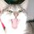 :iconharu-no-keeki: