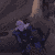 :iconharu-the-wolf: