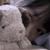 :iconharuchan284: