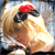 :iconharuchukx2: