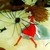 :iconharuhijasmine97: