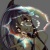:iconHarukaOmoide: