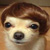 :iconHarun87: