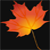 :iconHarvestRun: