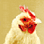 :iconhasel-and-patty: