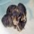 :iconhasepummel: