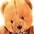 :iconHastNKwak: