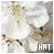 :iconhat-photographie: