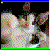 :iconhatboyrcks: