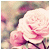 Hatched-From-Tree :iconhatched-from-tree: