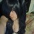 :iconhatebringslove: