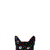 :iconhatelovecat:
