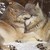 Hatelovelifedeath :iconhatelovelifedeath: