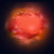:iconhater-of-light:
