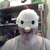 :iconhaterofcrows: