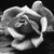 :iconhatewaitlove: