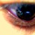 :iconhatinwasabi: