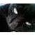 :iconhatred-mistress: