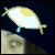 :iconhaunted988: