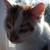 :iconhauntedbyladybirds: