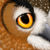 :iconhauntedprojection: