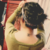 :iconhausofgloria: