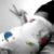 :iconhautecouture8162: