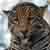 :iconhaveaniceday987: