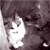 HaveMyKittens :iconhavemykittens: