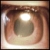 :iconhaven2betty: