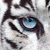 :iconhavoc303: