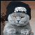 :iconhavocthecat: