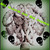 :iconhavonetea: