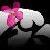 :iconhawaiihawk: