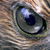 :iconhawk-windrider: