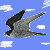 :iconhawk4life: