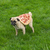 :iconhawke5: