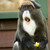 :iconhawkfeather2: