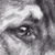 HAWKins17 :iconhawkins17: