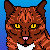 :iconhawkstalker13: