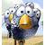 :iconhawkstudy: