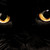 :iconhawktalon-warrior: