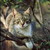 Hawktalon96 :iconhawktalon96: